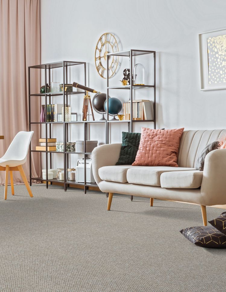 carpet in a Abbotsford living room
